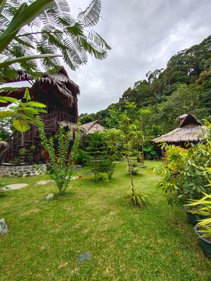 Green Travelodge Bukit Lawang Exterior photo
